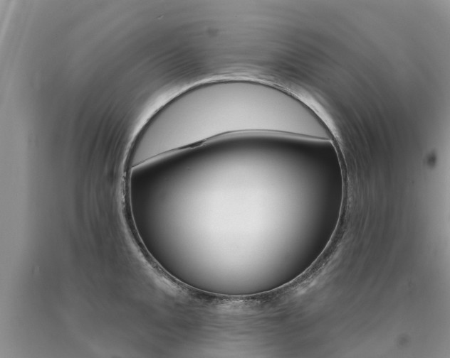 X0000090711093200707200946
