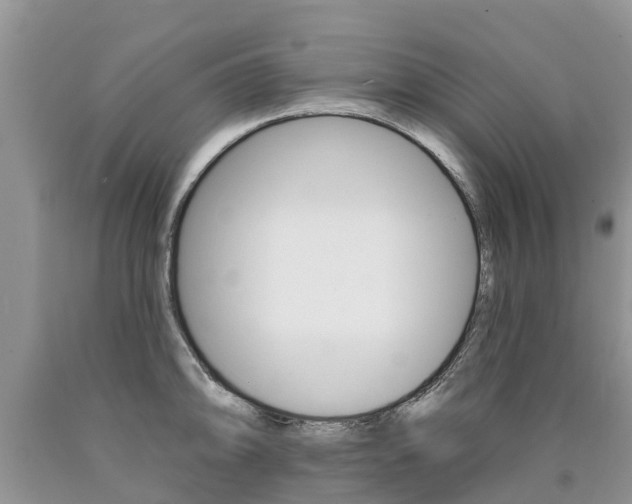 X0000090711094200707200946