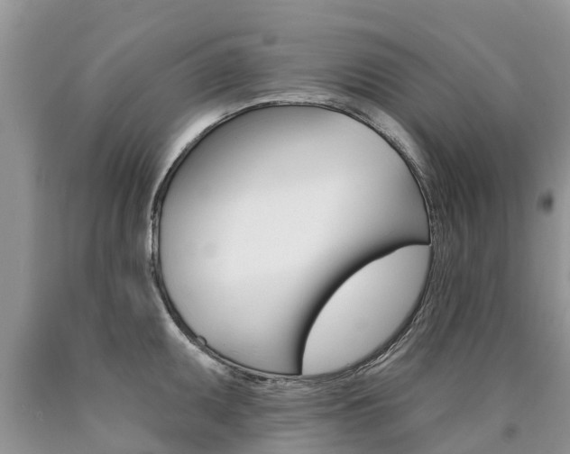 X0000090711095200707200946