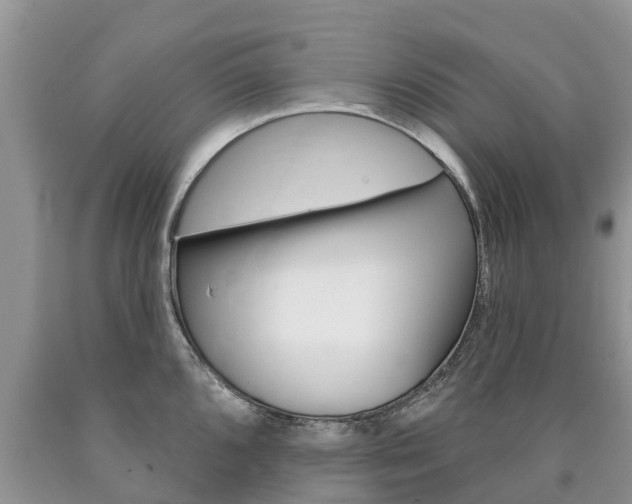 X0000090711096200707200946