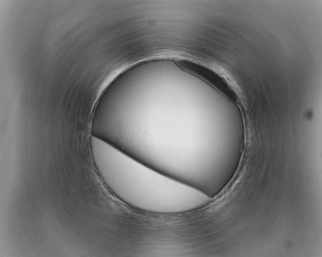 X0000090711097200707200946