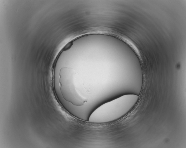 X0000090711099200707200946