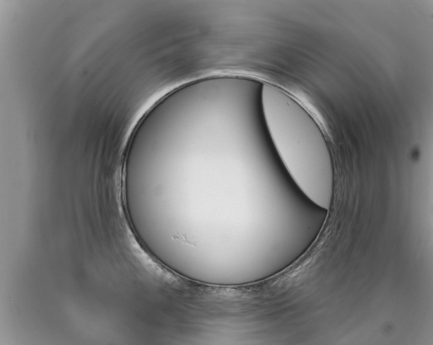 X0000090711100200707200946