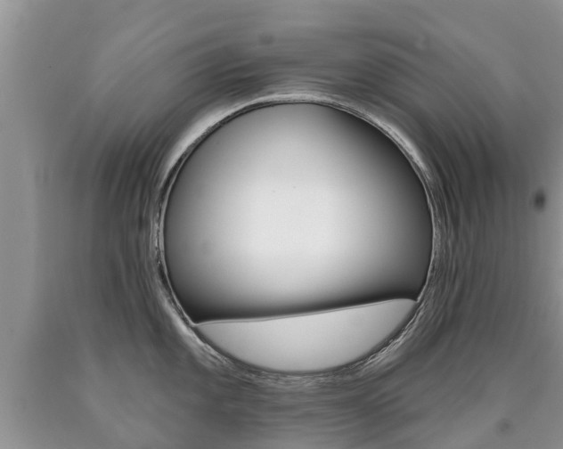 X0000090711101200707200946