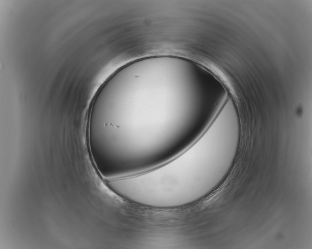 X0000090711102200707200946
