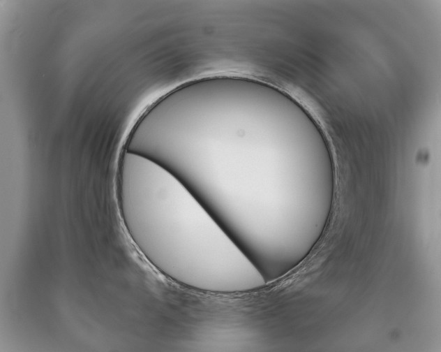 X0000090711104200707200945