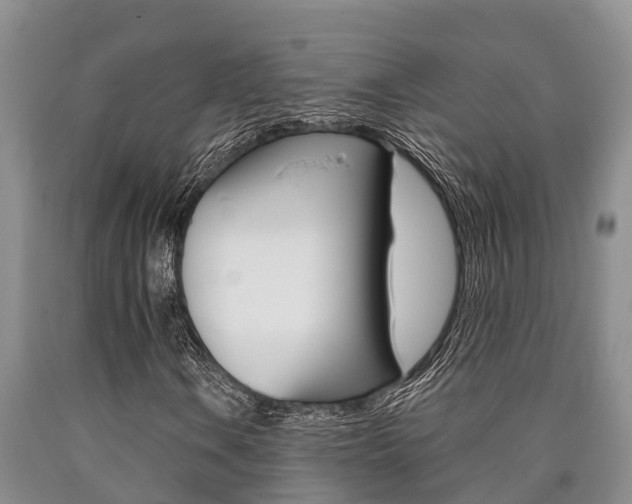 X0000090711106200707200945