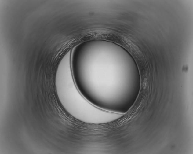 X0000090711108200707200945