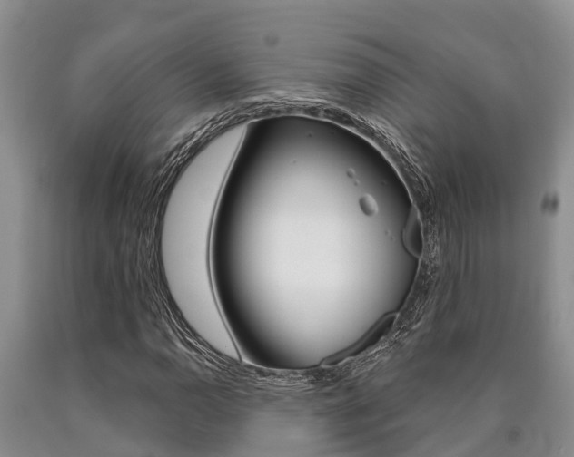 X0000090711110200707200945