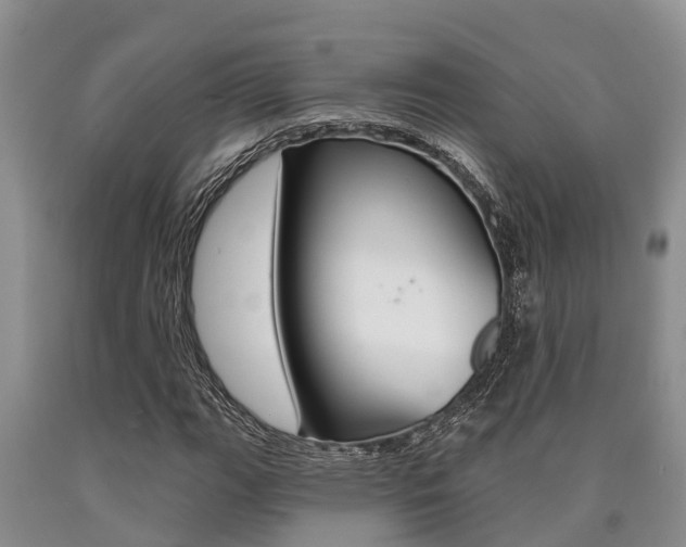 X0000090711111200707200945
