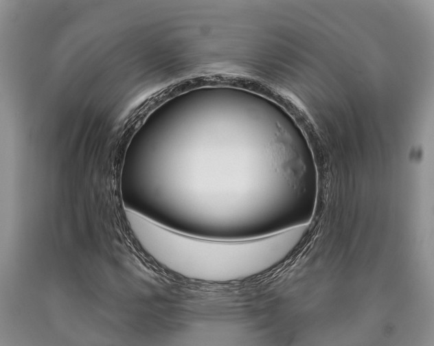 X0000090711112200707200945