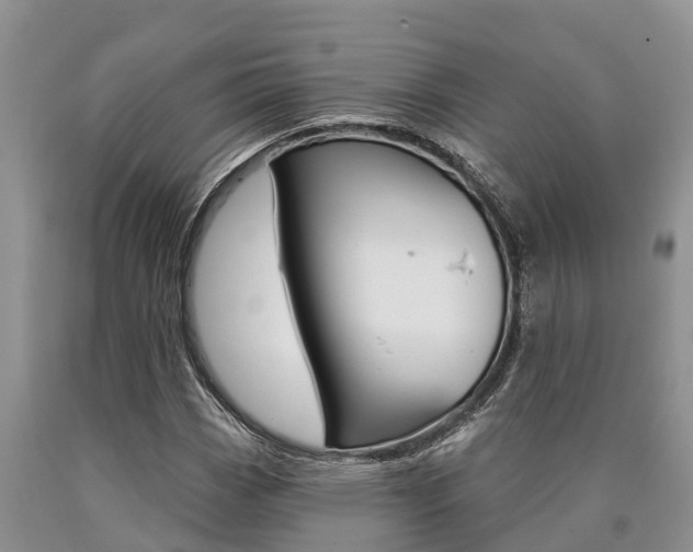 X0000090711113200707200945