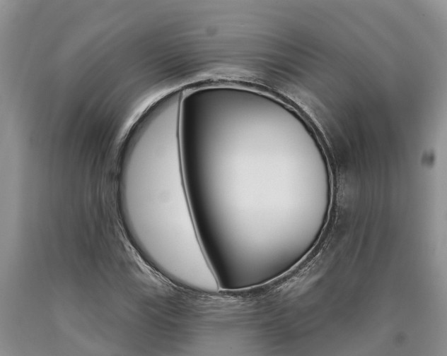 X0000090711115200707200945