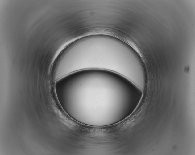 X0000090711116200707200945