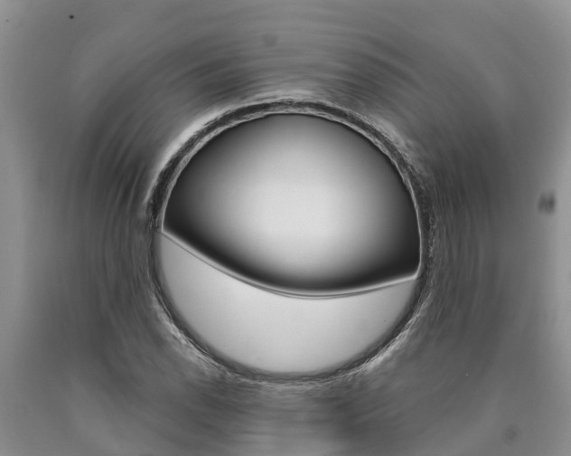 X0000090711118200707200945