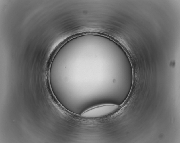 X0000090711119200707200945