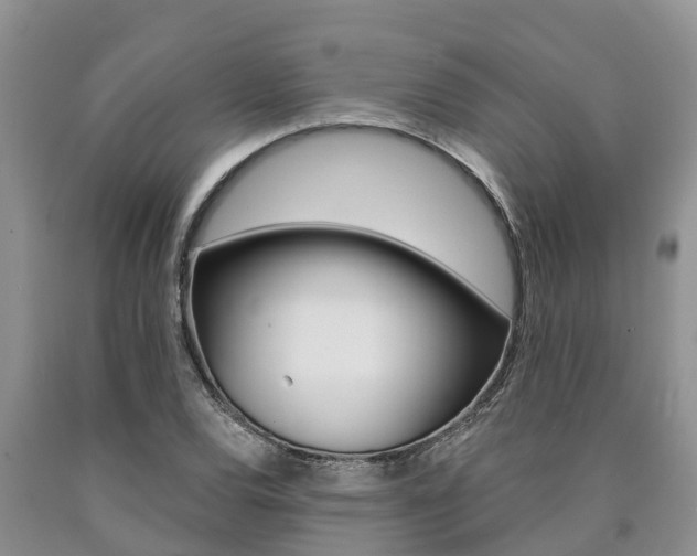 X0000090711120200707200945