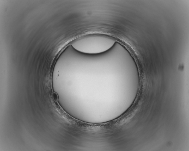 X0000090711121200707200945