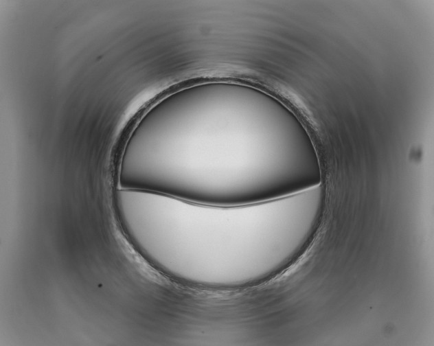 X0000090711122200707200945