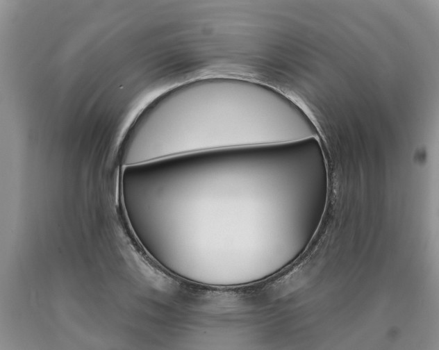 X0000090711123200707200945