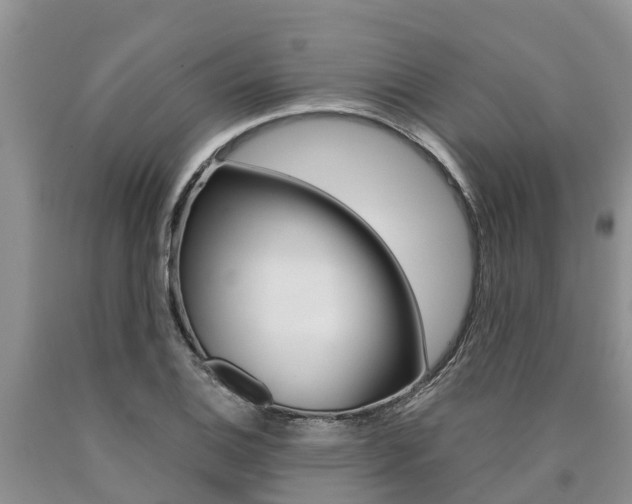 X0000090711124200707200945