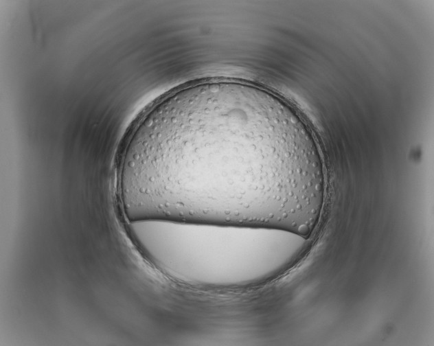 X0000090711125200707200945