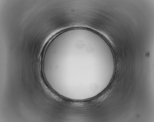 X0000090711126200707200945