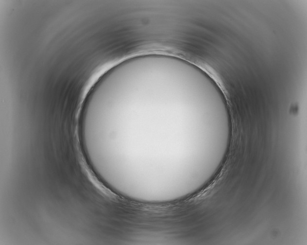 X0000090711128200707200945