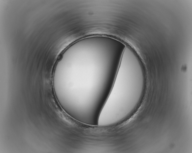 X0000090711129200707200945