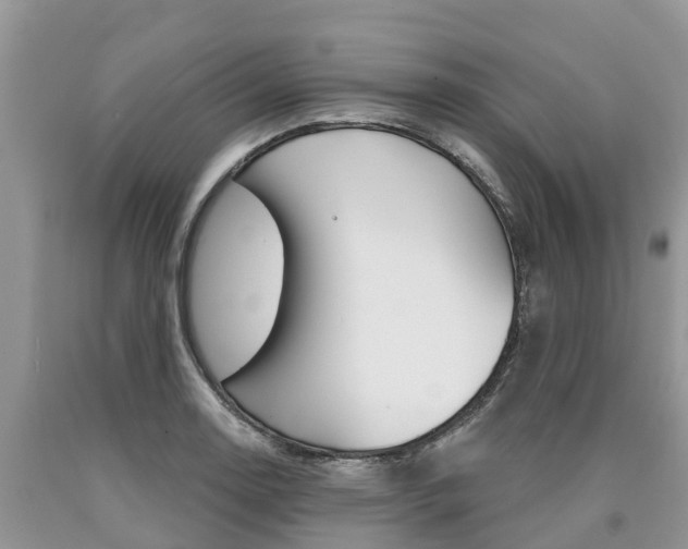 X0000090711130200707200945