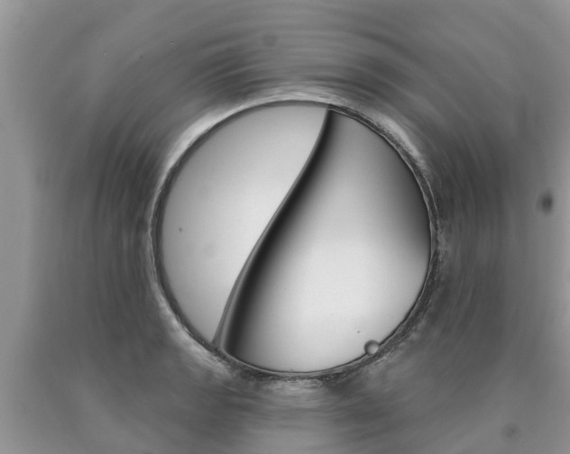 X0000090711133200707200945
