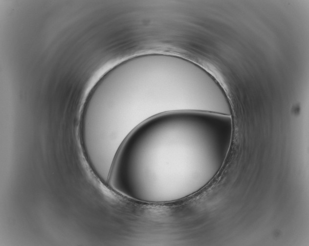 X0000090711136200707200945