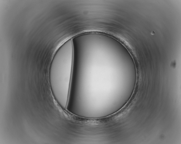 X0000090711137200707200945