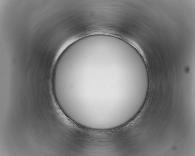X0000090711138200707200945