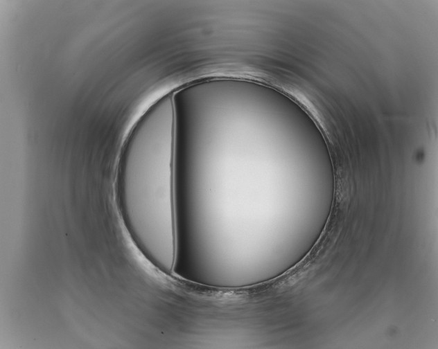 X0000090711139200707200945