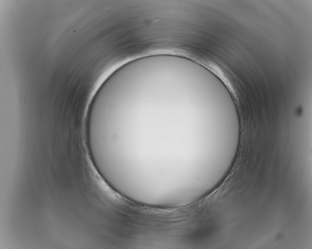 X0000090711140200707200945