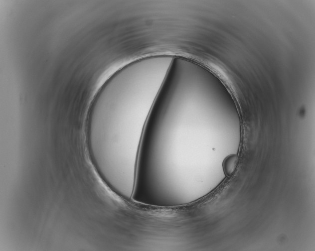 X0000090711141200707200945