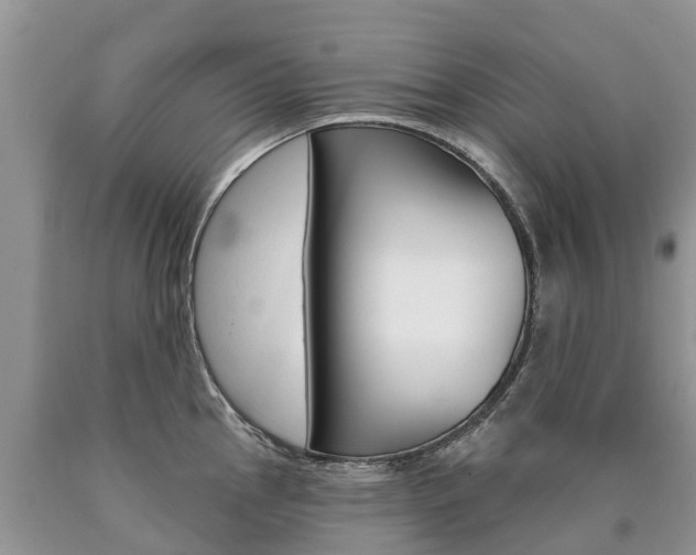 X0000090711145200707200945