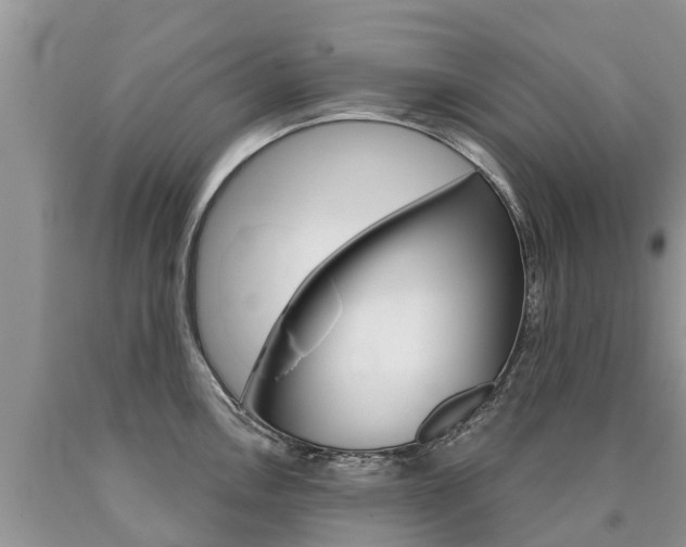 X0000090711146200707200945