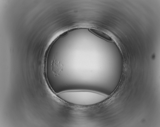 X0000090711147200707200945
