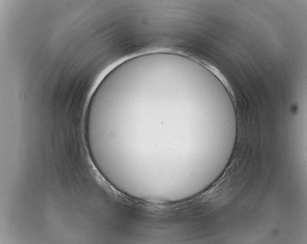 X0000090711148200707200945