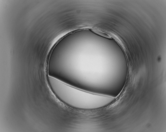 X0000090711149200707200945
