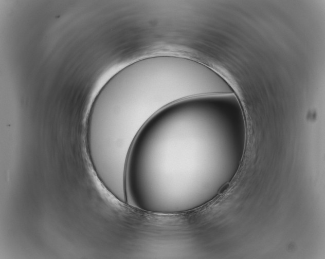 X0000090711152200707200945