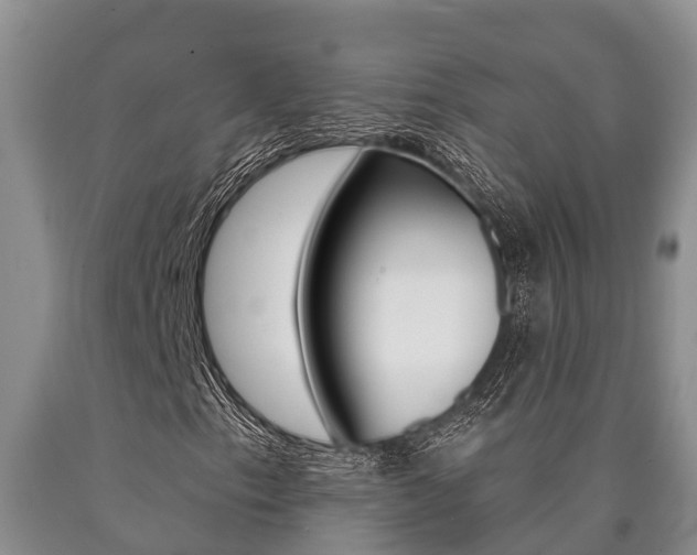 X0000090711153200707200945