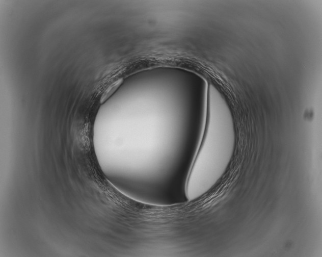 X0000090711156200707200945