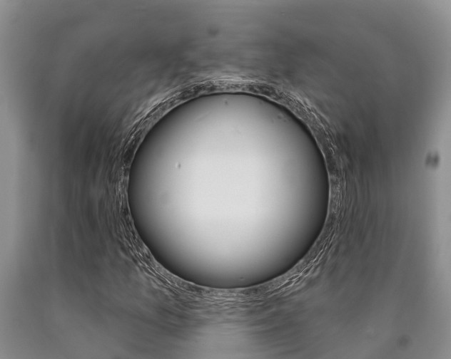 X0000090711157200707200945