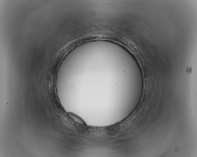 X0000090711158200707200945
