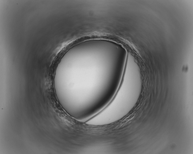 X0000090711160200707200945