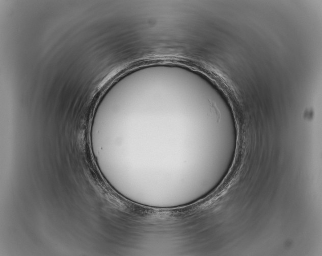 X0000090711162200707200945