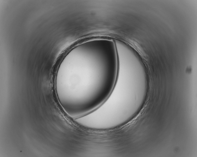 X0000090711164200707200945